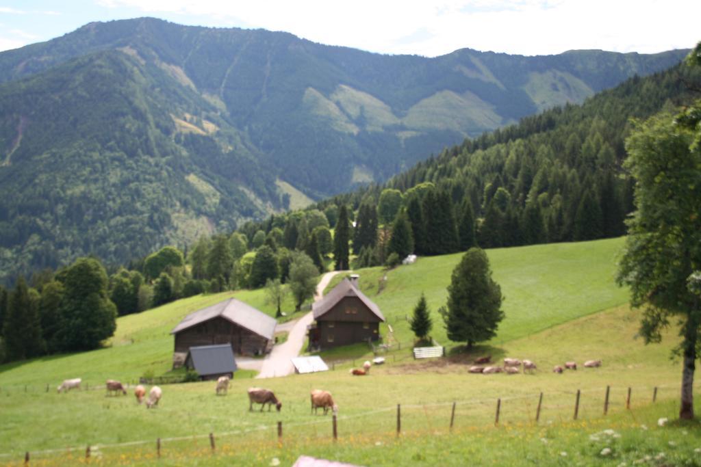 Ferienhaus Stoiser Pruggern Exterior photo